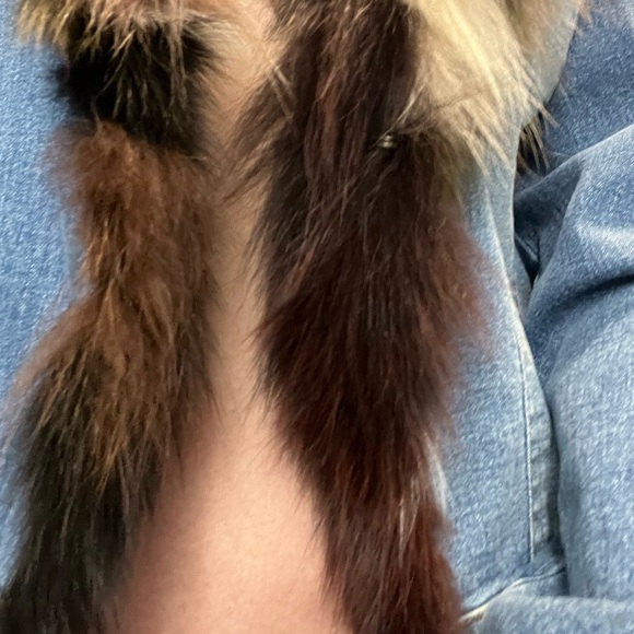 Jean jacket - Picture 3 of 8